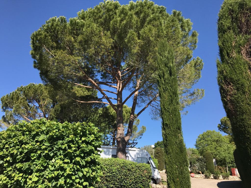 Camping La Paoute Grasse Eksteriør bilde